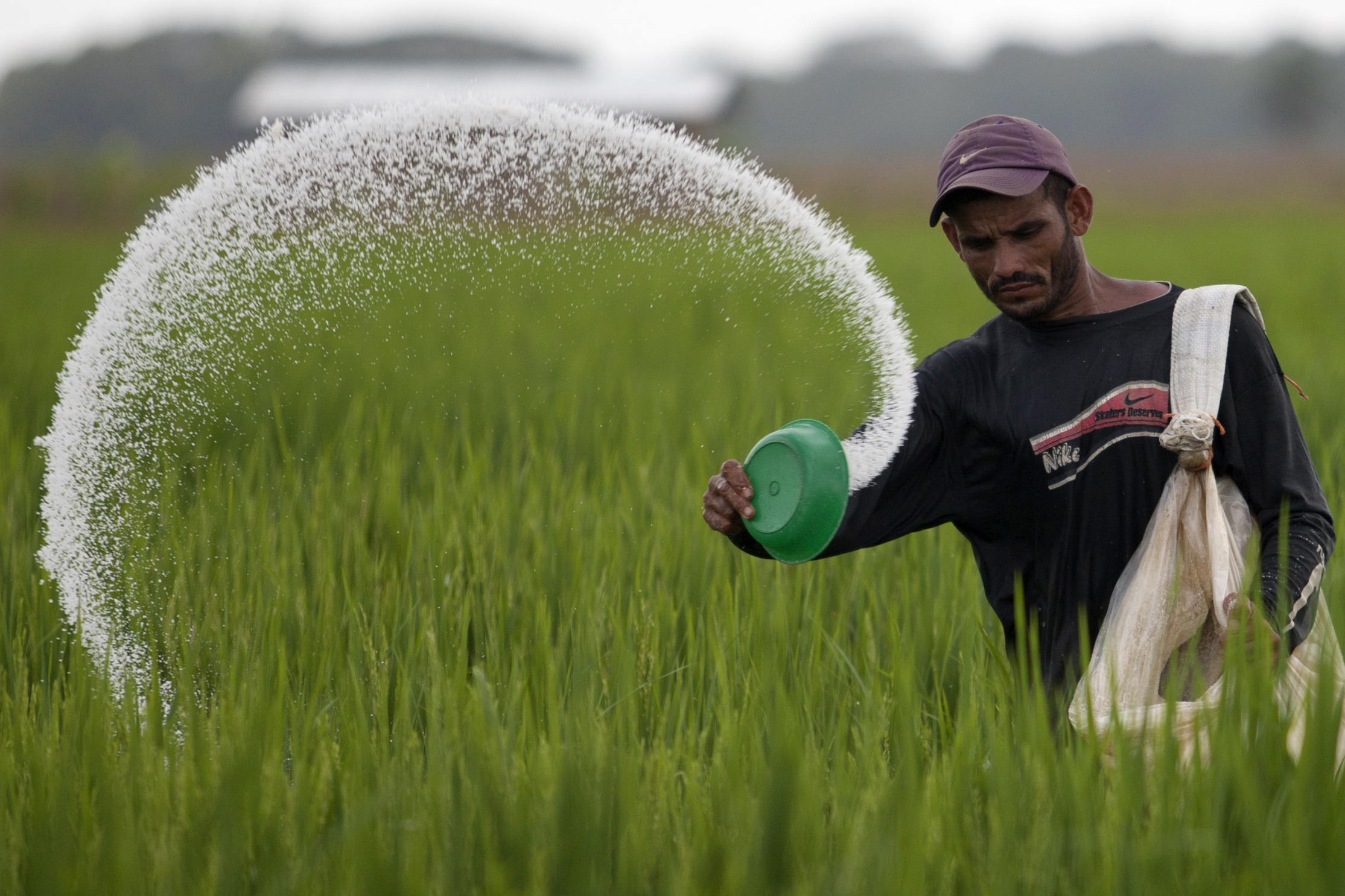 Farmer preparing field during planting season